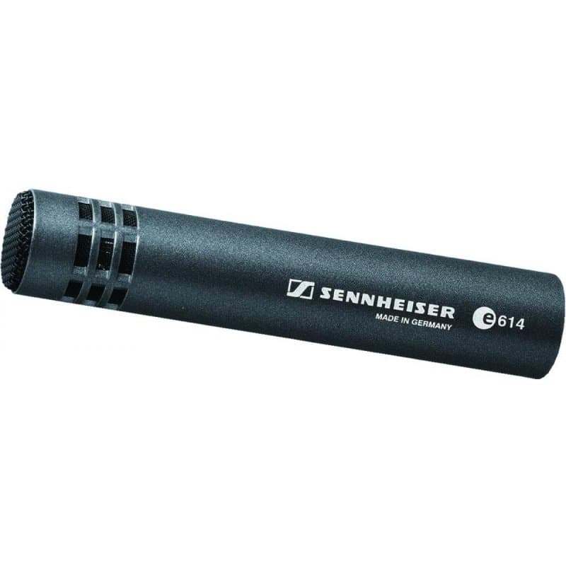evolution 600 Series Supercardioid Instrument Mic